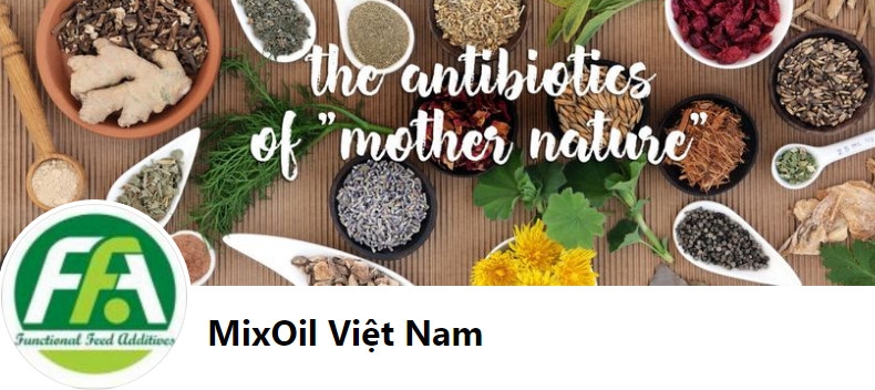 Công Ty TNHH FFA Việt Nam