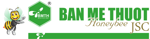 Công ty Cổ phần Ong Mật Ban Mê Thuột