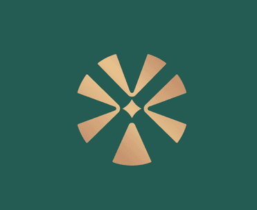 BSI GROUP