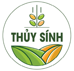 CÔNG TY TRÁCH NHIỆM HỮU HẠN THỦY SÍNH