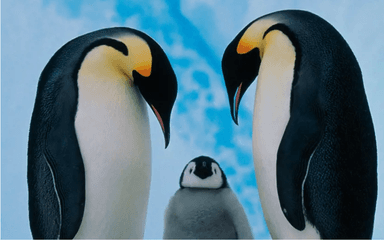 https://images.careerviet.vn/employers_pro/83506/1706079927Care.png