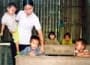 Khi lương giáo viên còn thấp hơn... người giúp việc