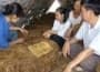Giàu từ trồng nấm 