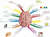 Lãng phí chất xám vì chọn sai nghề
