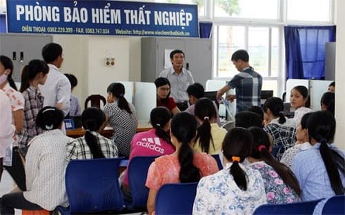 Có phải báo cáo tình trạng việc làm khi đang hưởng trợ cấp thất nghiệp?