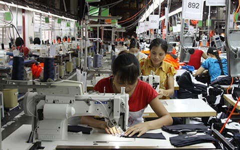 Giải pháp xử lý tình trạng doanh nghiệp trốn đóng bảo hiểm, đảm bảo quyền lợi người lao động