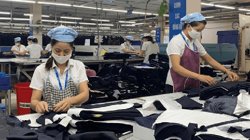 Covid-19 khiến tiền lương sụt giảm nghiêm trọng