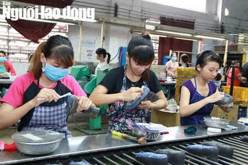 Tiền lương tháng đóng bảo hiểm xã hội bắt buộc năm 2021 người lao động cần biết