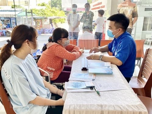Thủ tục nhận hỗ trợ với lao động tự do và lao động có hợp đồng
