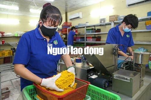 Điều kiện nghỉ hưu trước tuổi năm 2022