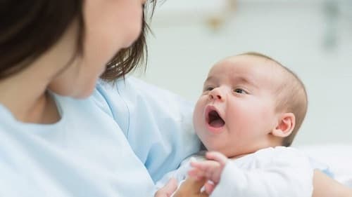 Tra cứu giải quyết chế độ thai sản