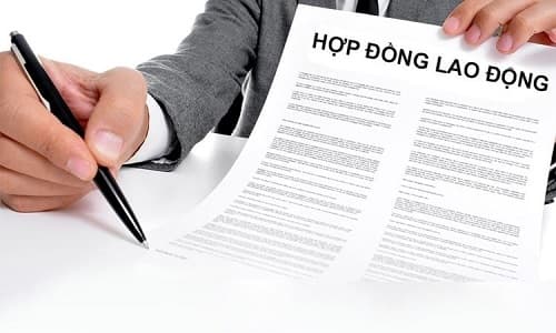 Hợp đồng lao động có những nội dung gì?