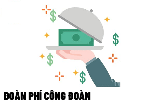 Người lao động trong thời gian nghỉ ốm không hưởng lương thì có phải đóng bảo hiểm xã hội và đoàn phí hay không?
