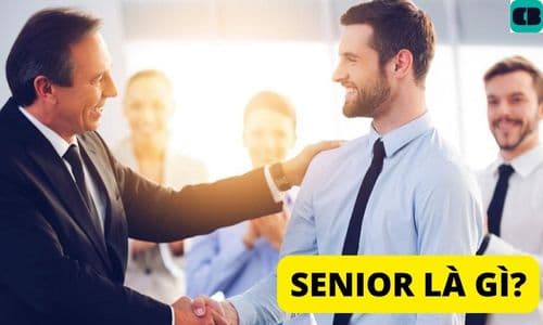 Senior là gì? Intern, Fresher, Junior, Senior là gì? Có gì khác biệt