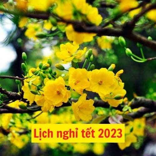 [CHÍNH THỨC] Lịch nghỉ tết Nguyên Đán 2024