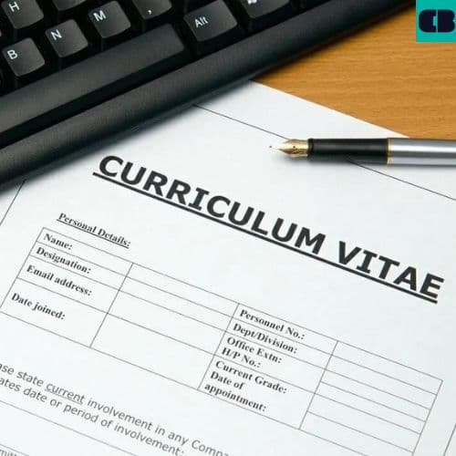 Mẫu Sơ Yếu Lý Lịch Xin Việc Chuẩn, Mới Nhất 2023 Và Cách Viết