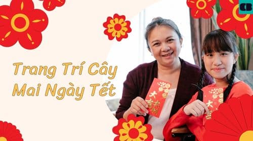 9 Cách Trang Trí Cây Mai Ngày Tết Độc Đáo, Đơn Giản, Đẹp Nhất 2024