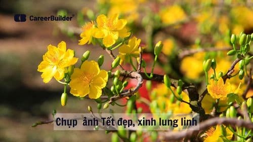 7 Concept chụp ảnh Tết đẹp cho gia đình tại nhà, studio đẹp nhất