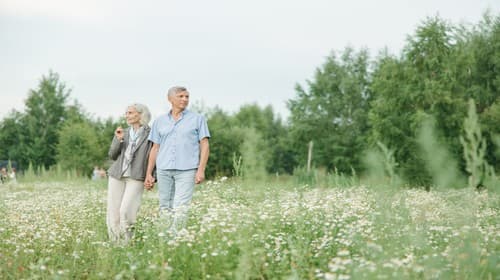 Nhận trợ cấp hưu trí là không đóng bảo hiểm xã hội mà được hưởng?