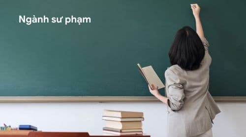 Nên học ngành sư phạm nào? Ngành sư phạm thi khối nào?