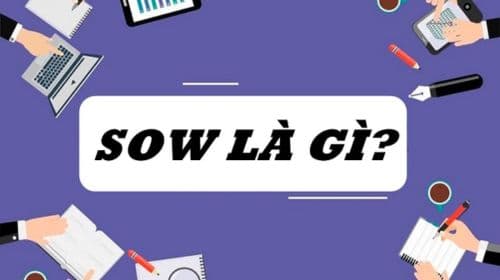 SOW là gì? Cách sử dụng SOW trong công việc