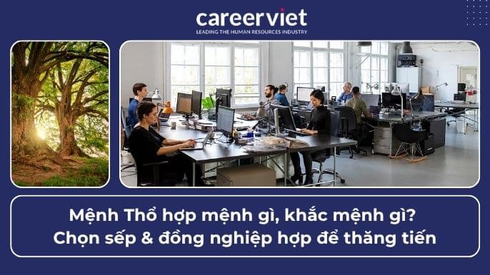 Mệnh Thổ hợp mệnh gì, khắc mệnh gì? Chọn sếp &amp; đồng nghiệp hợp để thăng tiến