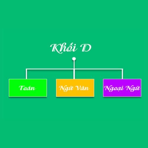 Khối D gồm những ngành nào dễ xin việc? Các trường đào tạo khối D